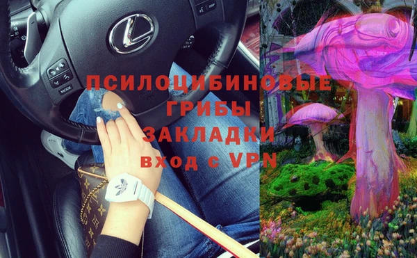 МДПВ Алексеевка