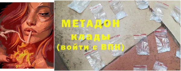прущие грибы Алексин
